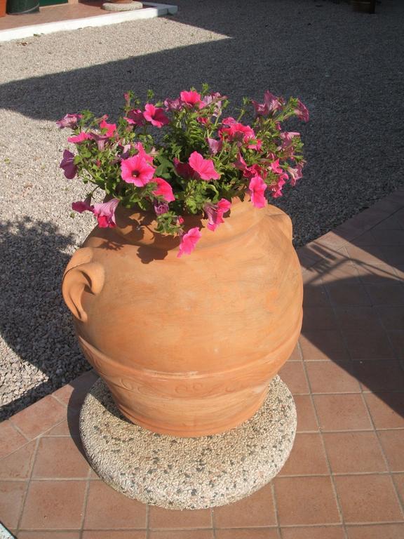La Locanda Country House Borgo Montenero エクステリア 写真
